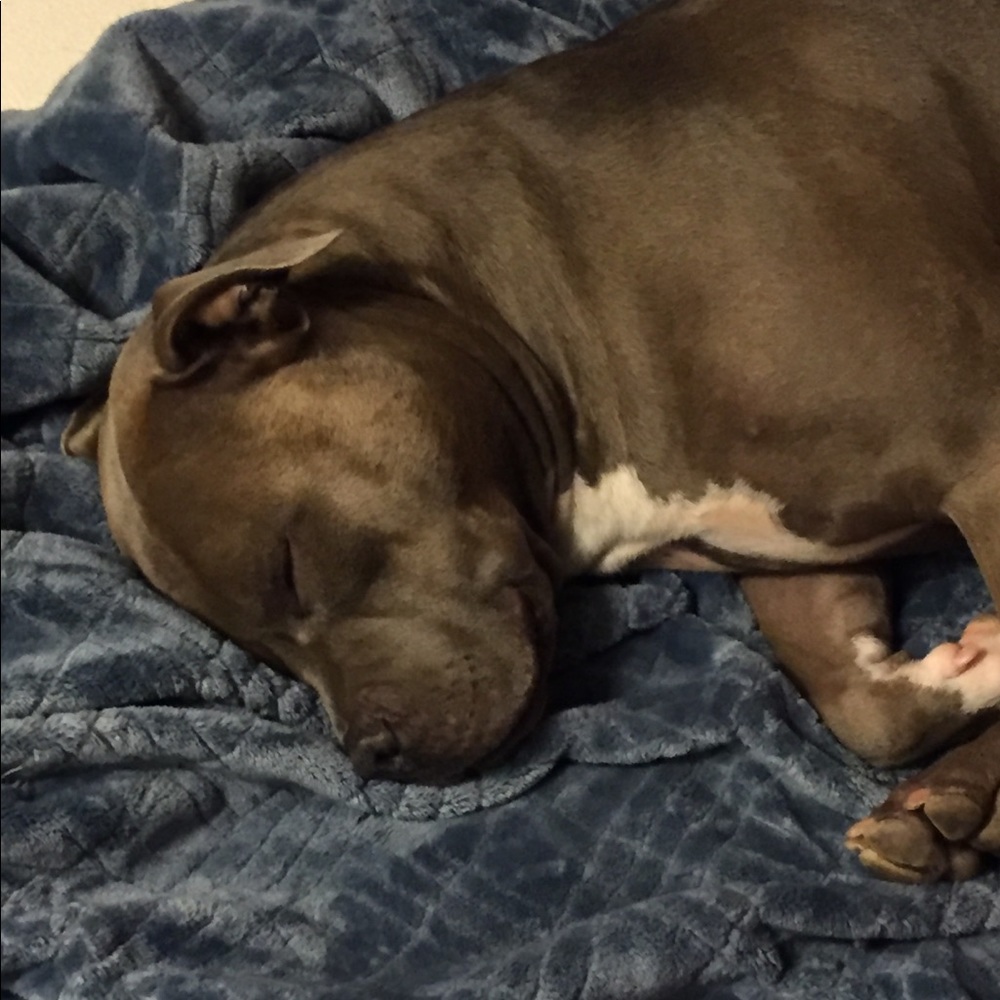 Meet your Posher, Don